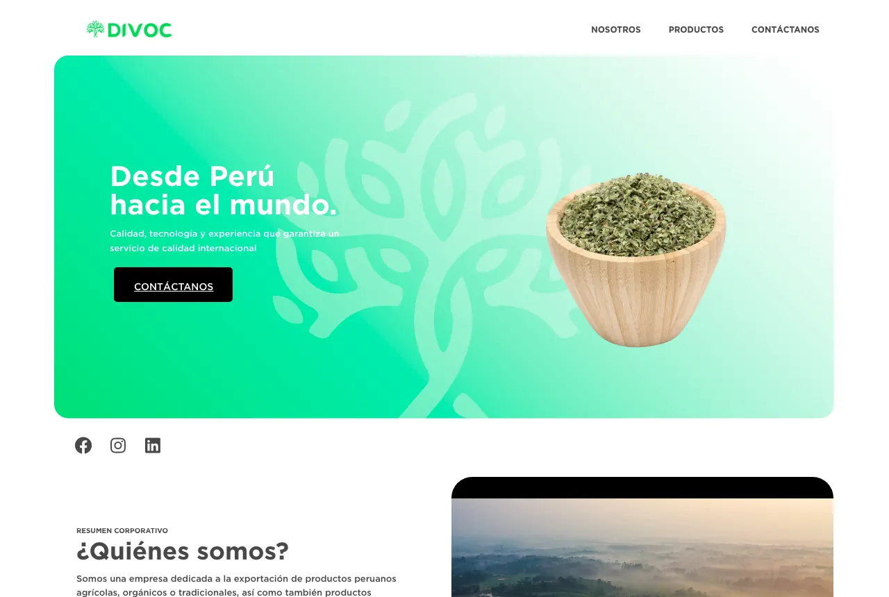 Página web de Divoc — Comercio y distribución, proyecto real